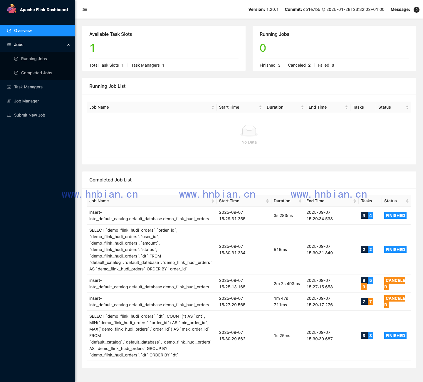 Flink Web UI