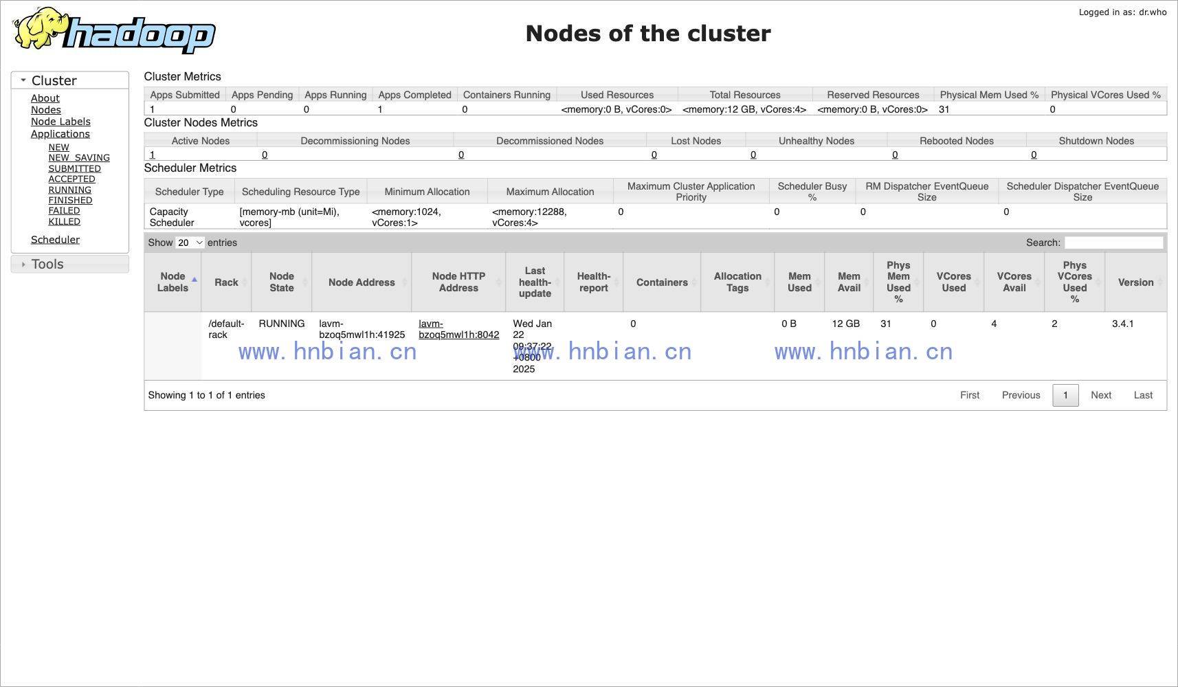 ResourceManager Nodes 页面，显示单节点 NodeManager 处于 RUNNING 状态