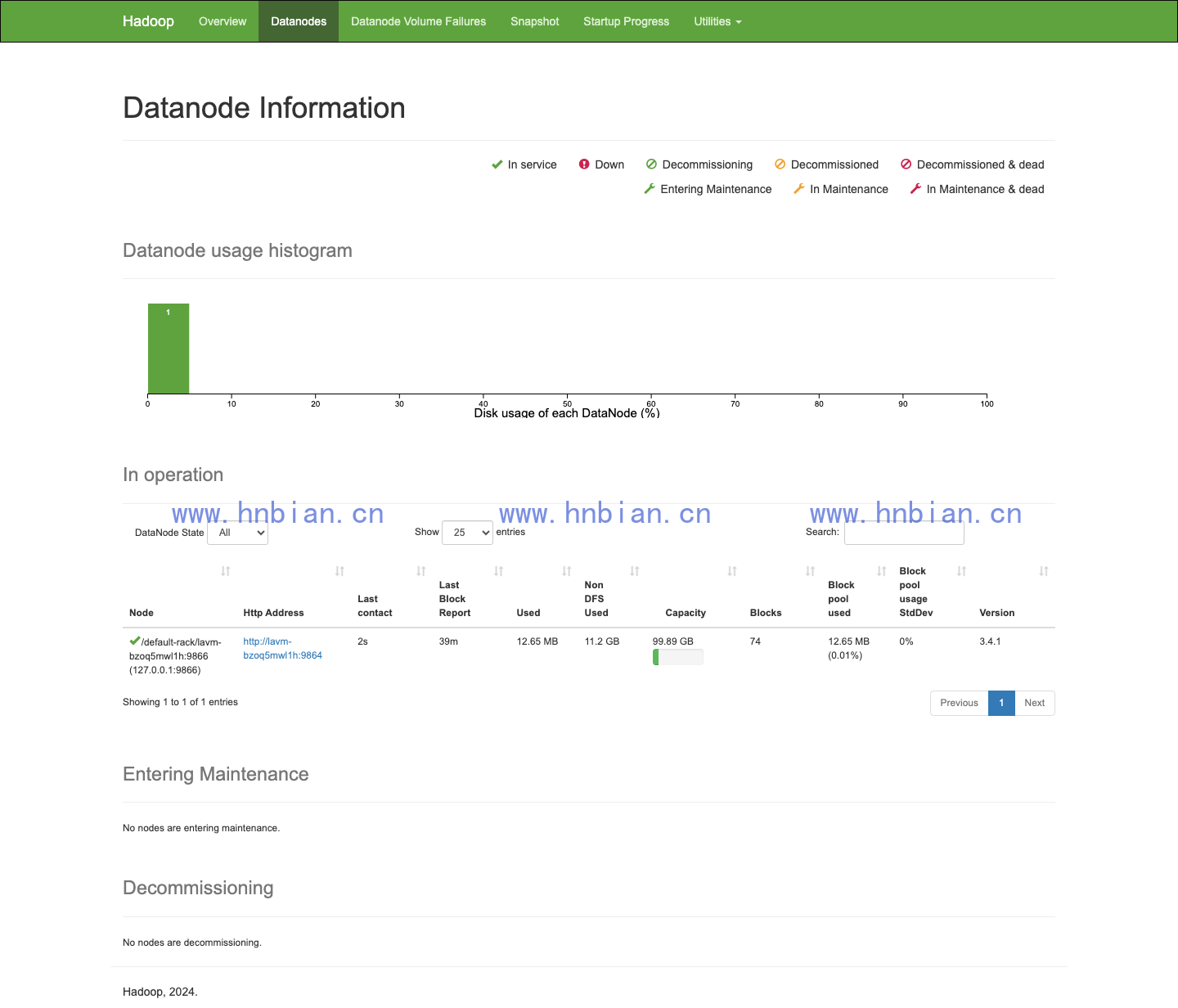 HDFS Web UI