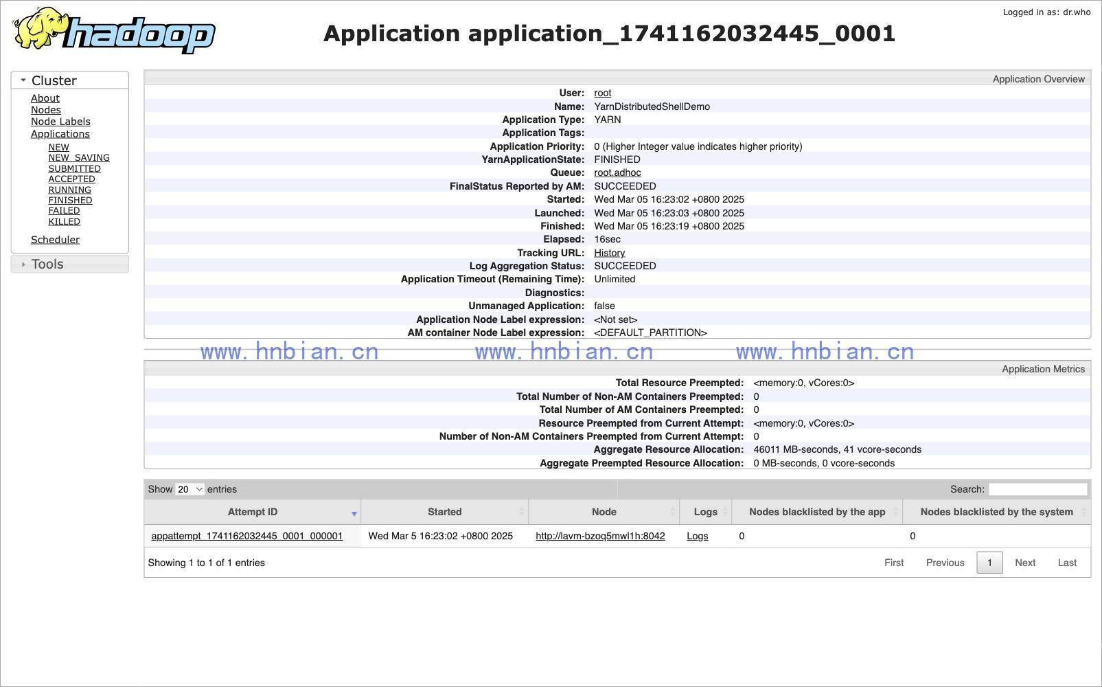 ResourceManager 中的 Distributed-Shell 应用详情