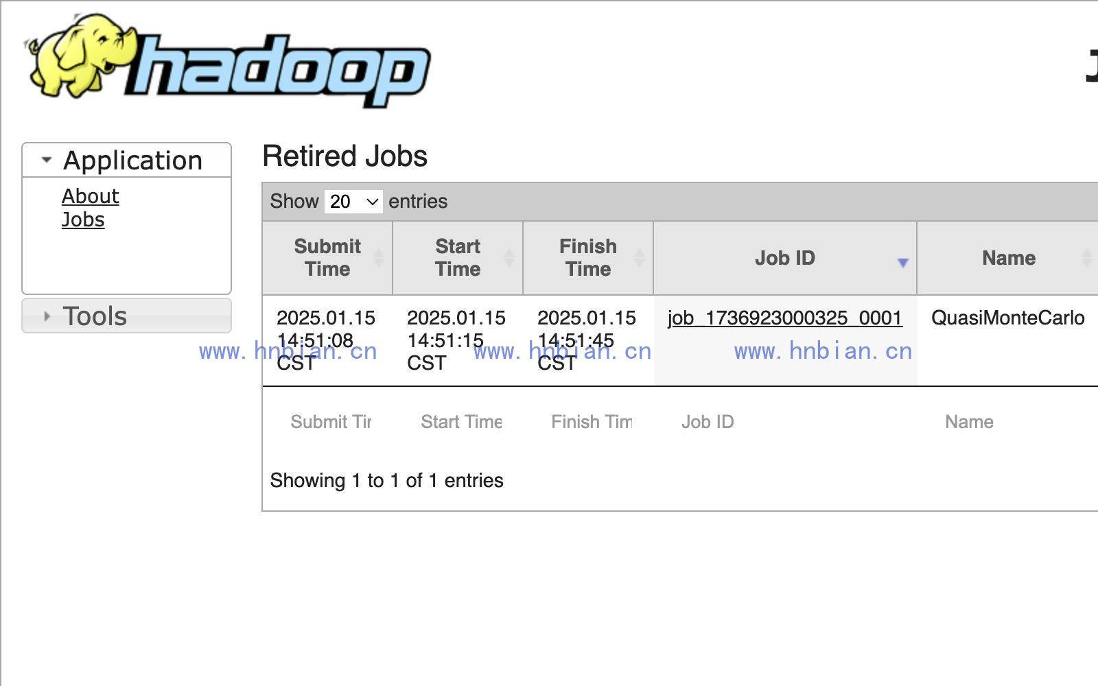 JobHistory 作业列表页面，展示 MapReduce 示例任务记录